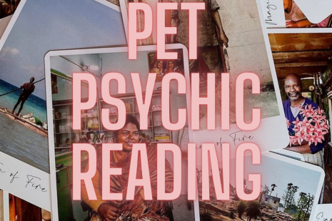Psychic Pet Reading with Miss Melinda