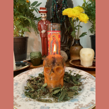 Mental Influence Spell by Miss Melinda